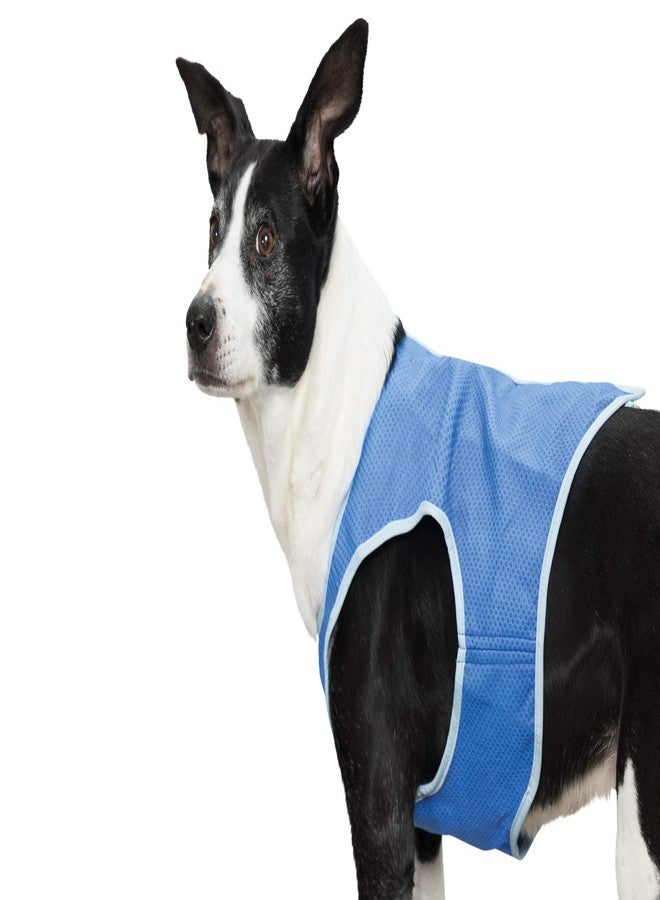 تريكسي سترة تبريد من تريكسي، ألمانيا، مصنوعة من مادة PVA، مقاس M: 30 سم، لون أزرق، متوسط (30133) - Image 2